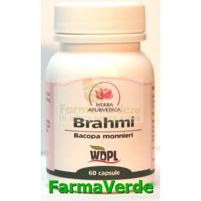 Brahmi Bacopa monnieri Tonic Cerebral 500 mg 60 capsule Herba Ayurvedica