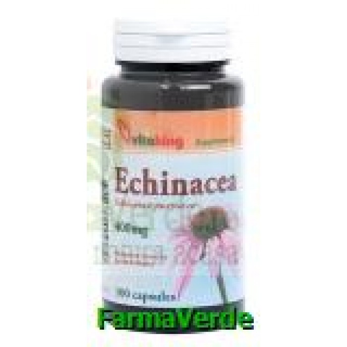 Echinacea 400 mg 100 capsule Vitaking
