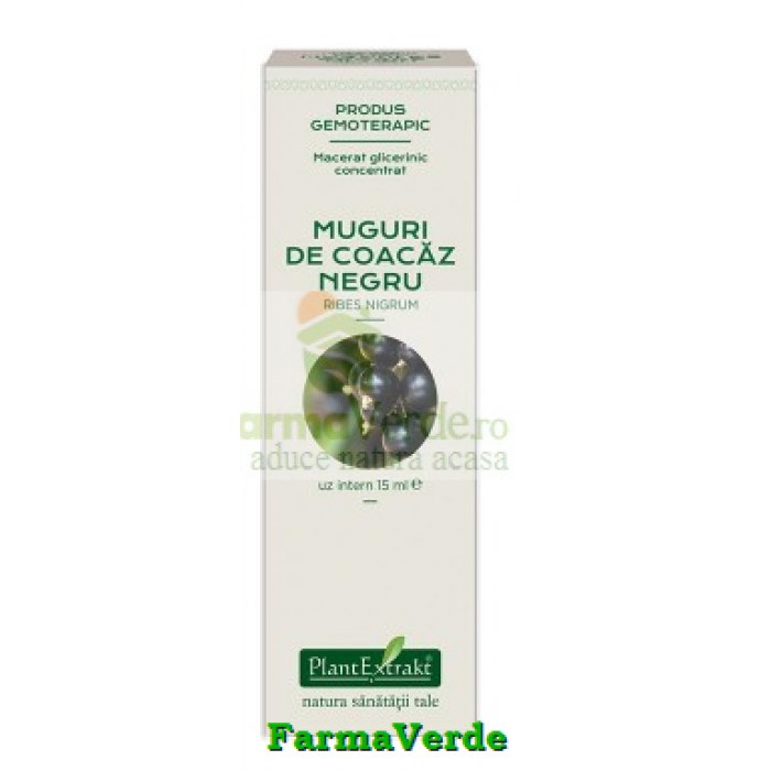 Extract Concentrat din Muguri de Coacaz Negru 15 ml Plantextrakt