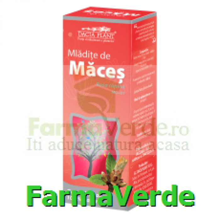 Gemoderivat Mladite de Maces 50 ml Dacia Plant