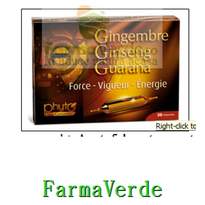 Ghimbir Ginseng Guarana 20 fiole Yves Ponroy