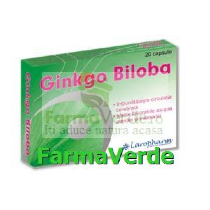 Ginkgo Biloba 40 mg 20 cps Laropharm