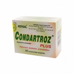 Condartroz Plus 60 comprimate Hofigal