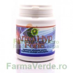 Artro-hyp Forte Pulbere 90 gr Hypericum Impex Plant