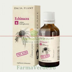 Tinctura Echinacea Fara Alcool 50 ml Dacia Plant