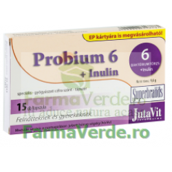 Probiotic plus Probiotice+Prebiotice 15 capsule Magnacum Med