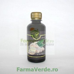 Sirop Ghimbir 200 ml ProNatura Medica