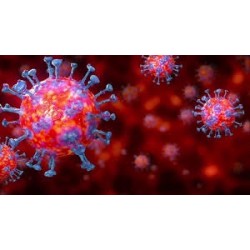 Pandemia CoronaVirus Covid 19
