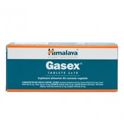 Gasex Antiacid 20 Cpr Himalaya