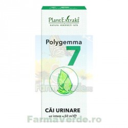 Polygemma Nr.7 Cai Urinare 50 ml Plantextrakt