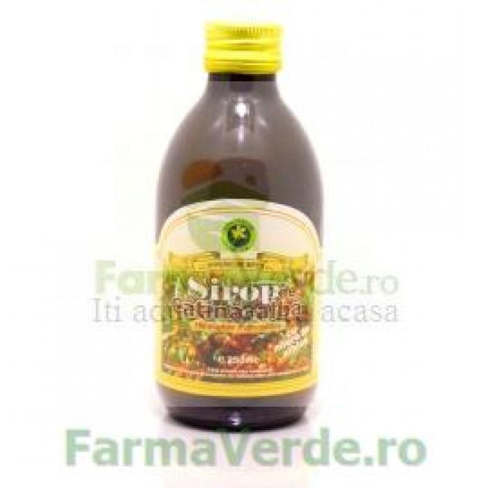 Sirop cu extract natural de Ghimbir cu Miere de Albine 250 ml Hypericum Impex Plant
