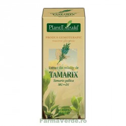Gemoderivat Extract din mladite de tamarix 50 ml Plantextrakt